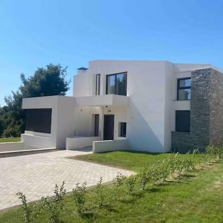 Elani New Luxury Villa Εξωτερικό φωτογραφία